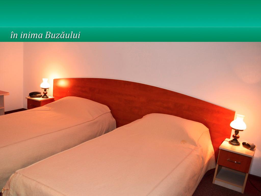 Hotel Pensiunea Casa Matei Berca Habitación foto
